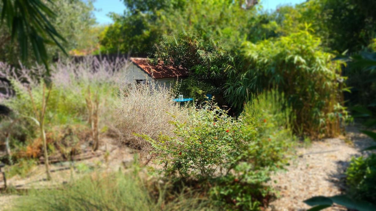 Chez Nous Dans Notre Petit Jardin Apartment มงต์เปอลิเยร์ ภายนอก รูปภาพ